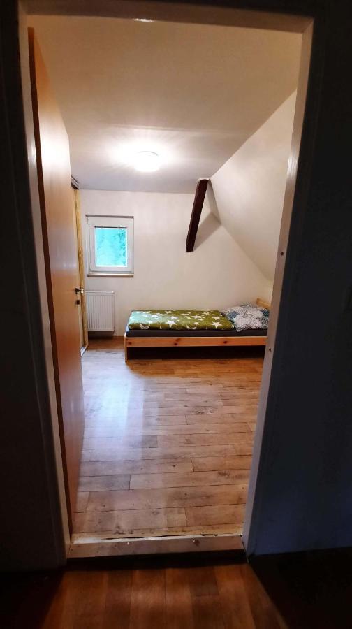 Villa Dům u lesa - Nové Hamry Extérieur photo